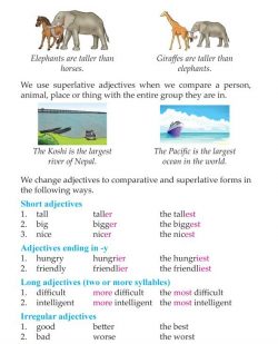 3rd Grade Grammar Comparison of Adjectives (2).jpg